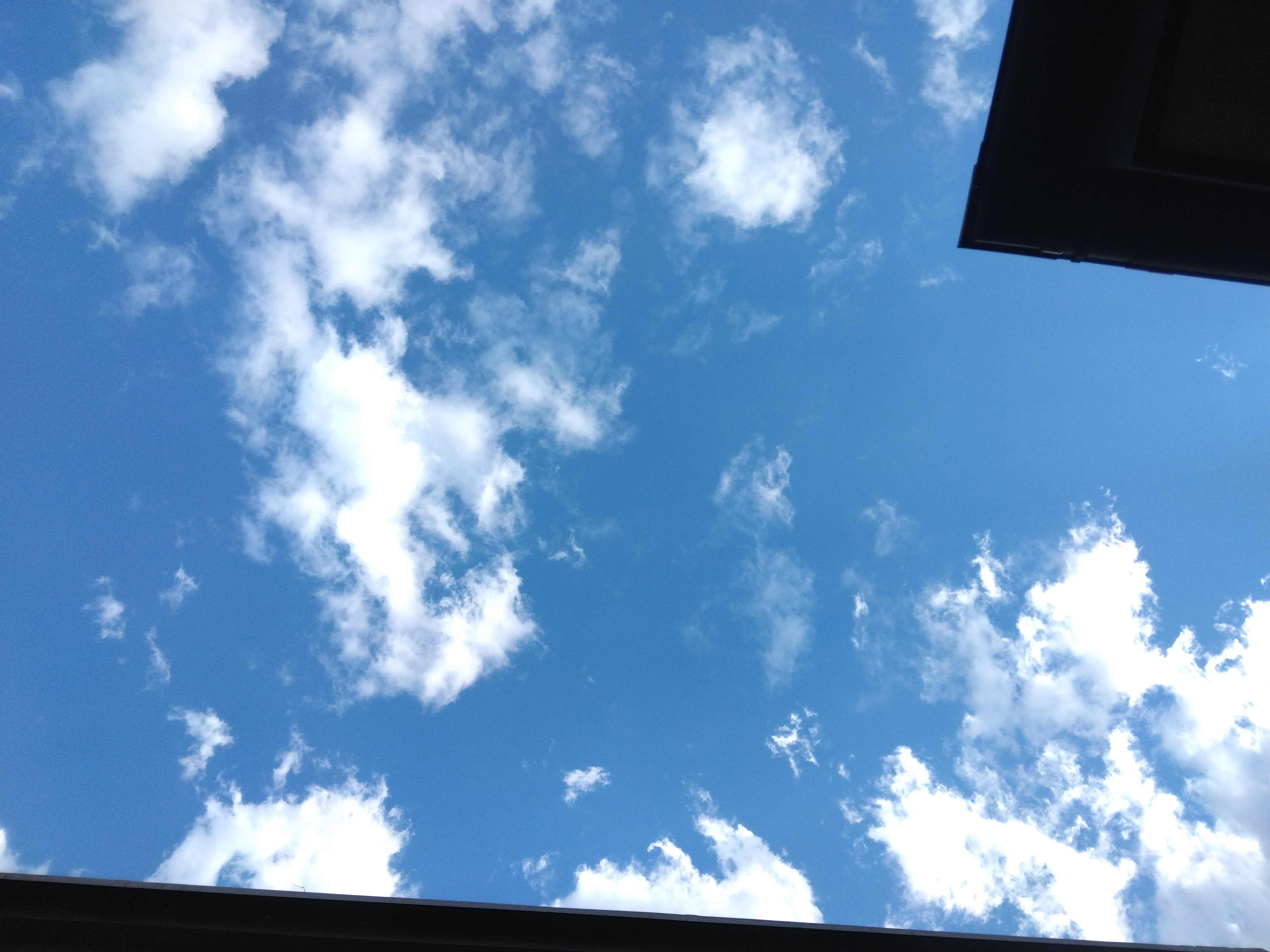 IMG_20250604_171905.jpg