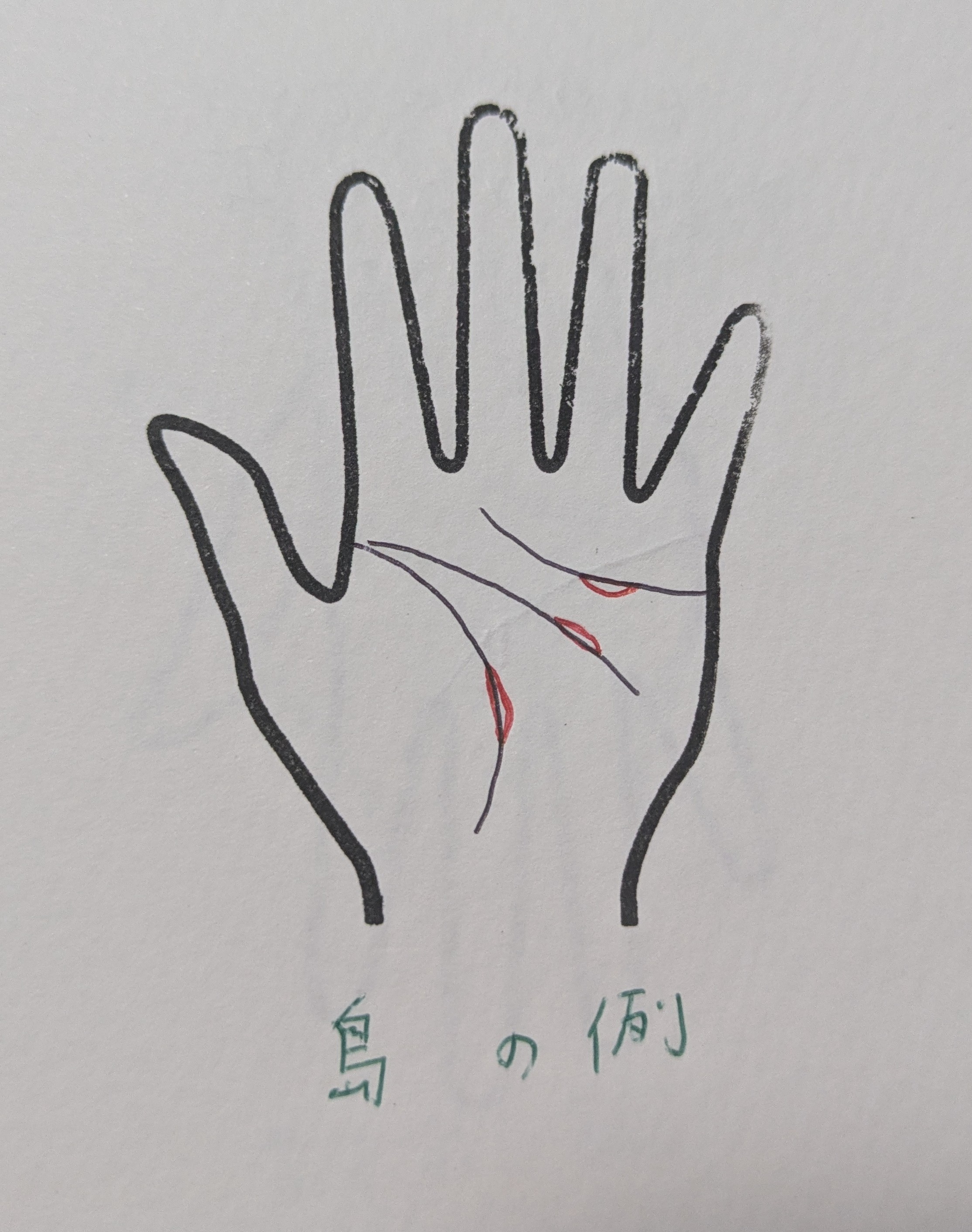 PXL_20251026_214110269.jpg