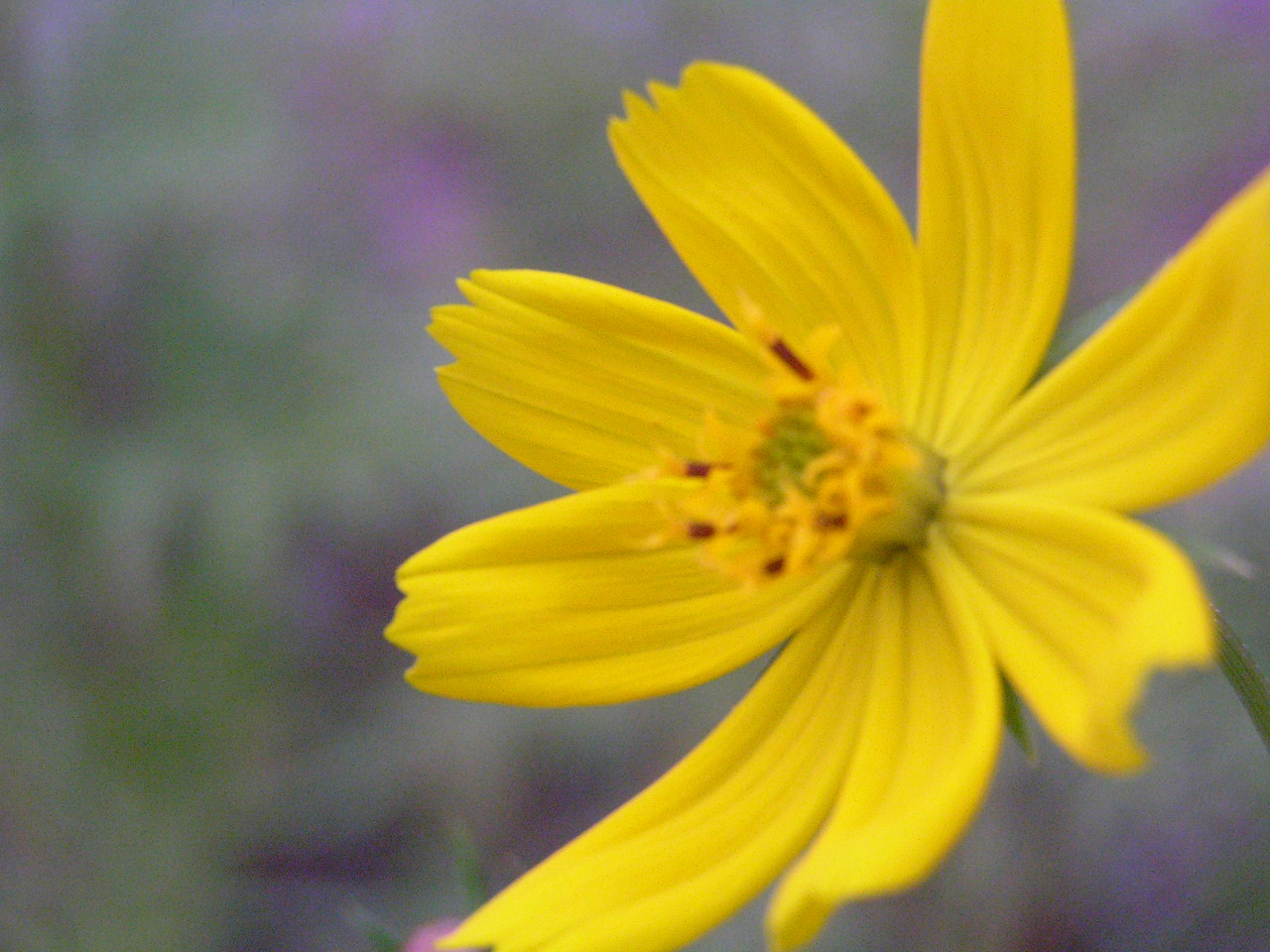 PA260271.JPG