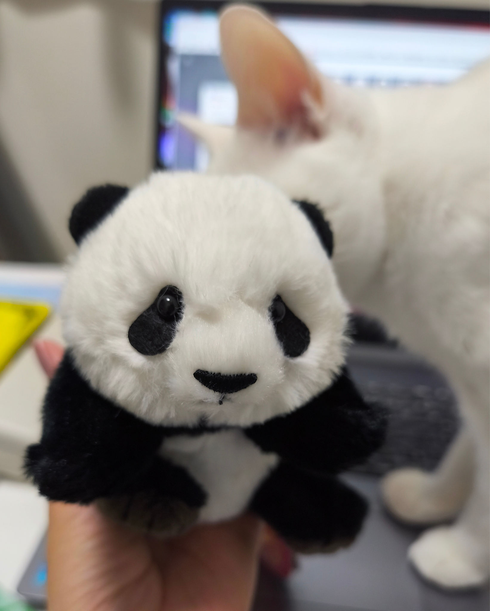 名称未設定のデザイン (9).png