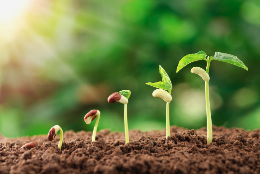 スクリーンショット (4521).png