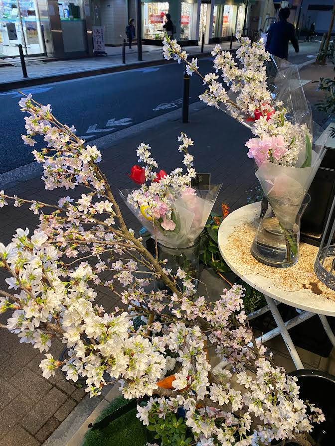 花屋さんの桜.jpg