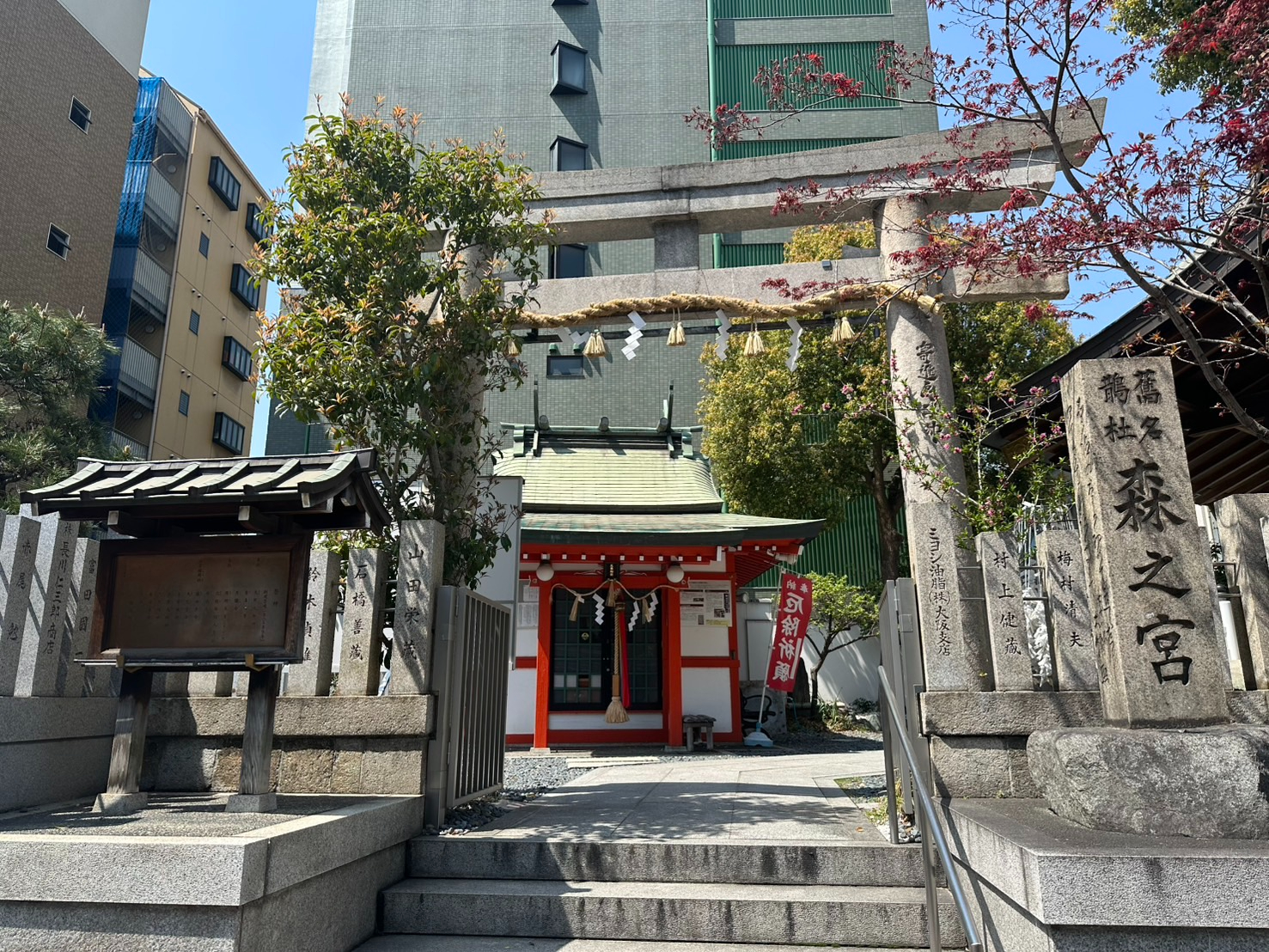 S__59113492.jpg