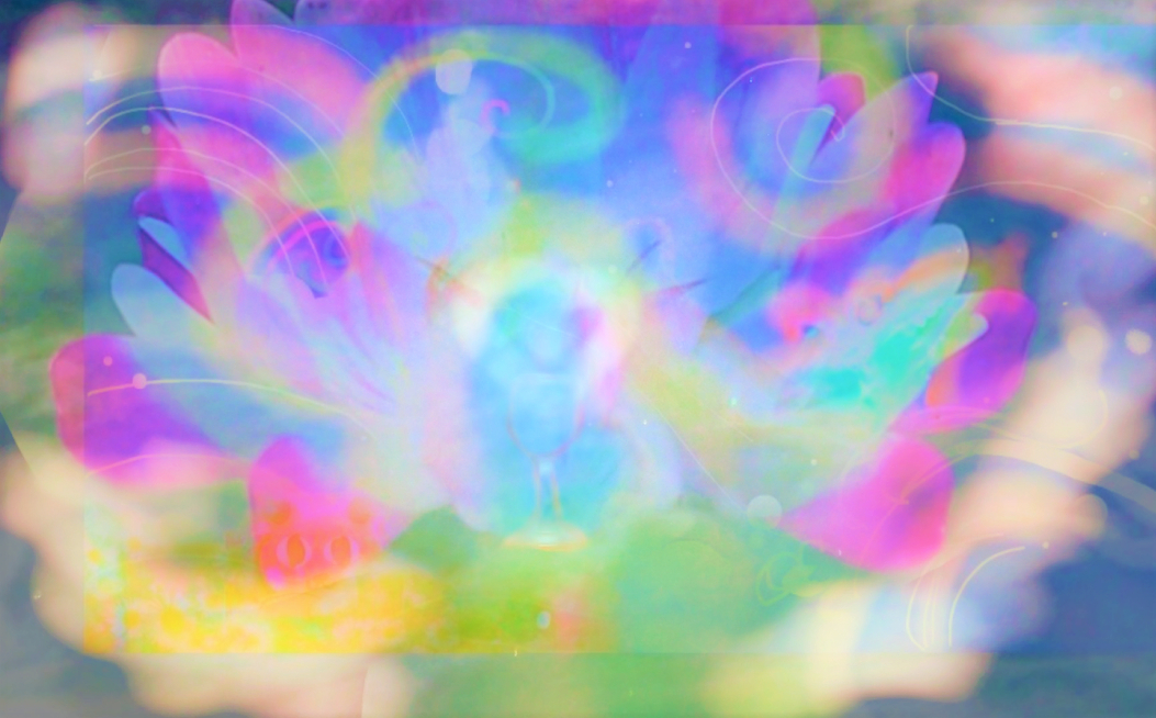 sketch-1668641510084 (2).png
