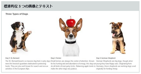 標準的な3つの画像とテキスト.png