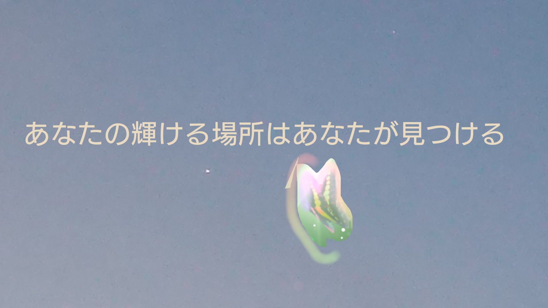 sketch-1651781395900.png