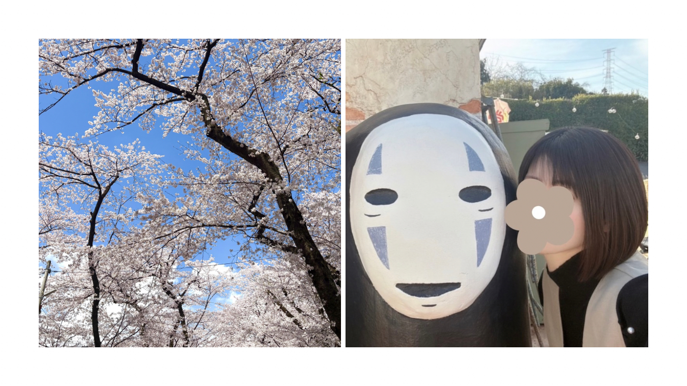 IMG_9919.PNG