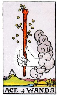 タロットカード_ワンドのエース.jpg