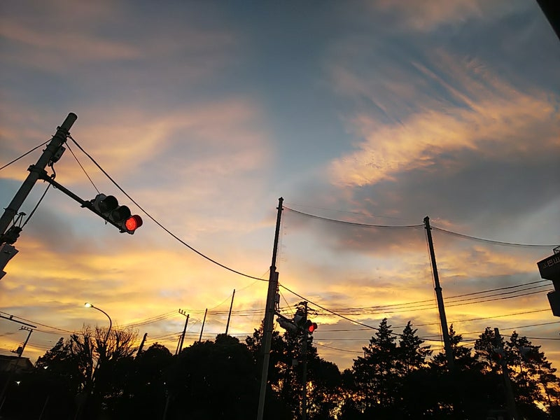 夏の夕方2.jpg