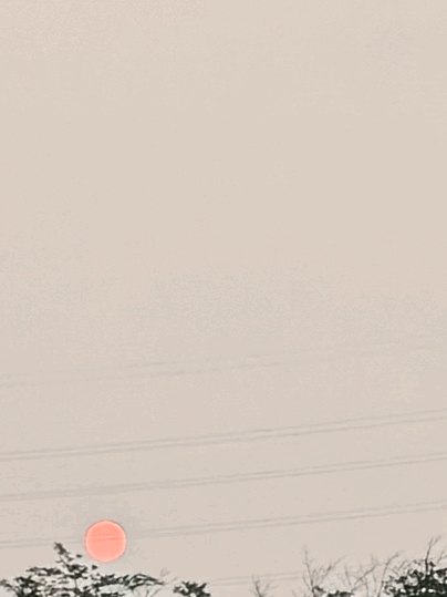 tempImagesZr1EN.gif