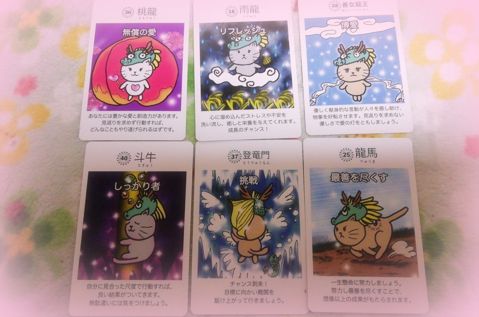 わたあめカメラ_20260131_201003.jpg