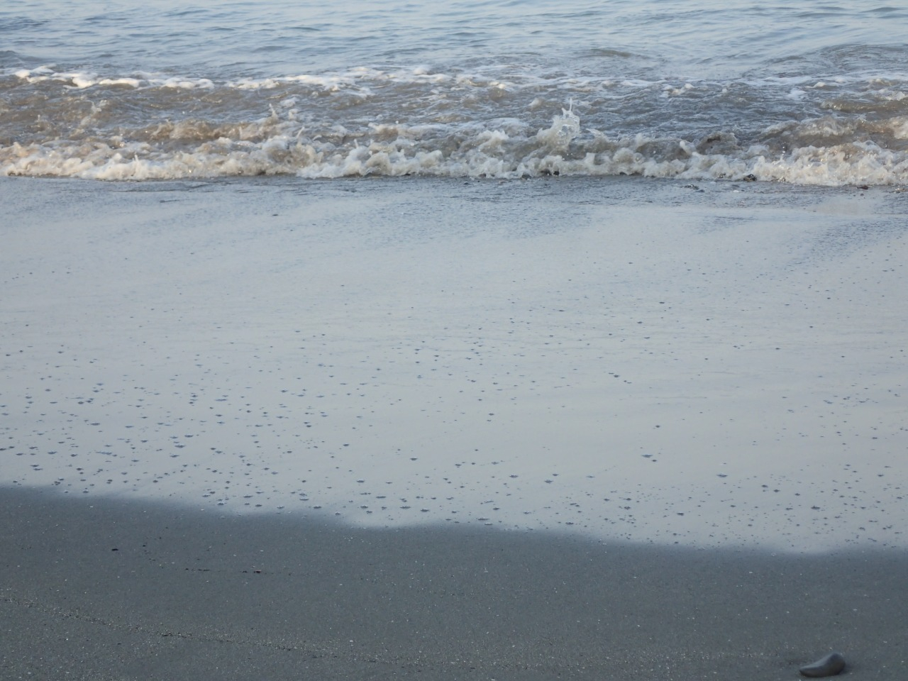 P8110240.JPG