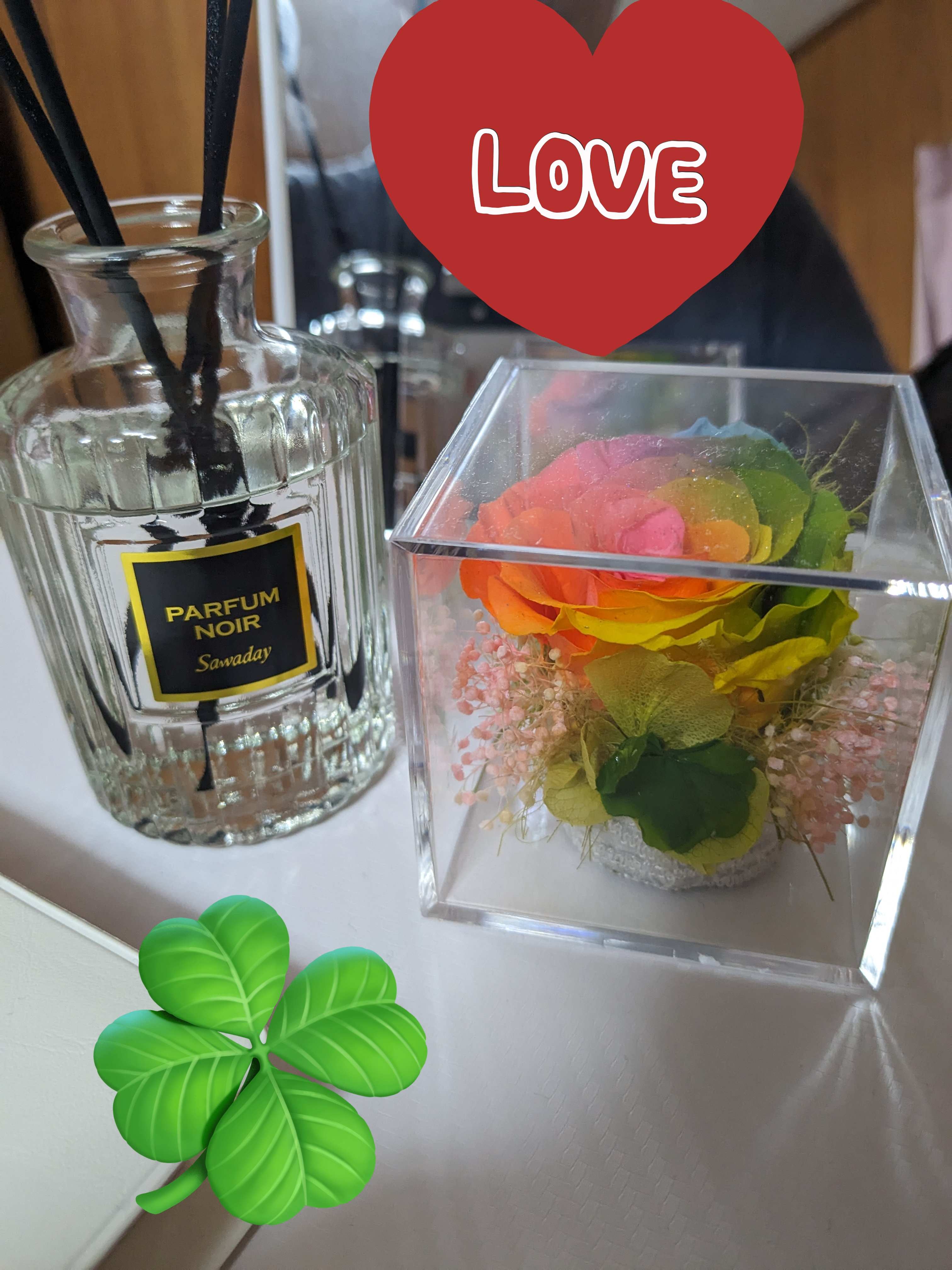 芳香剤と☘️☘.jpg