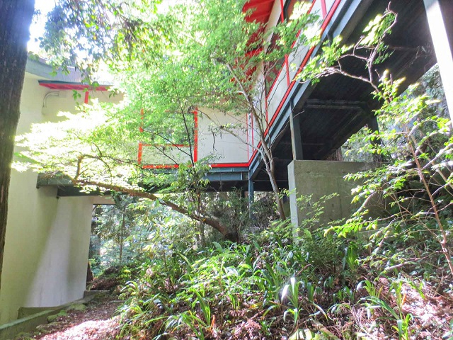 箱根神社_脇参道03.jpg