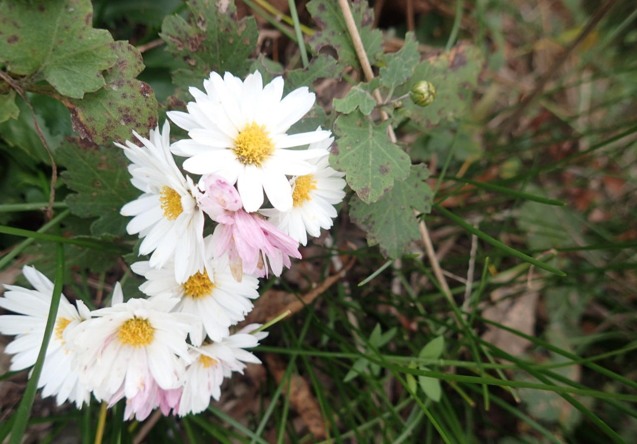 PB130216.JPG