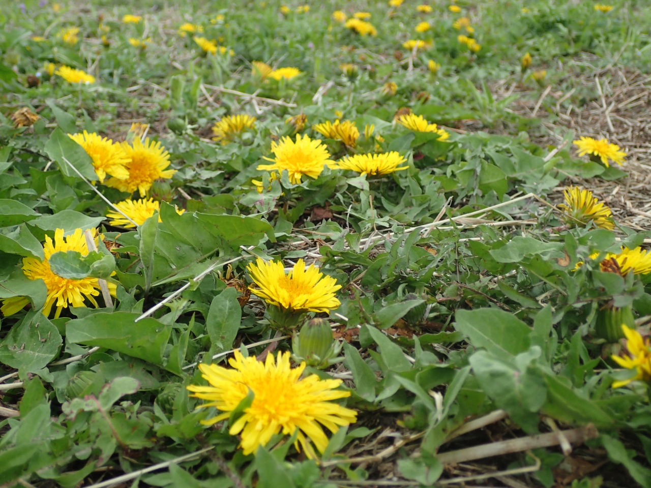 P4051777.JPG