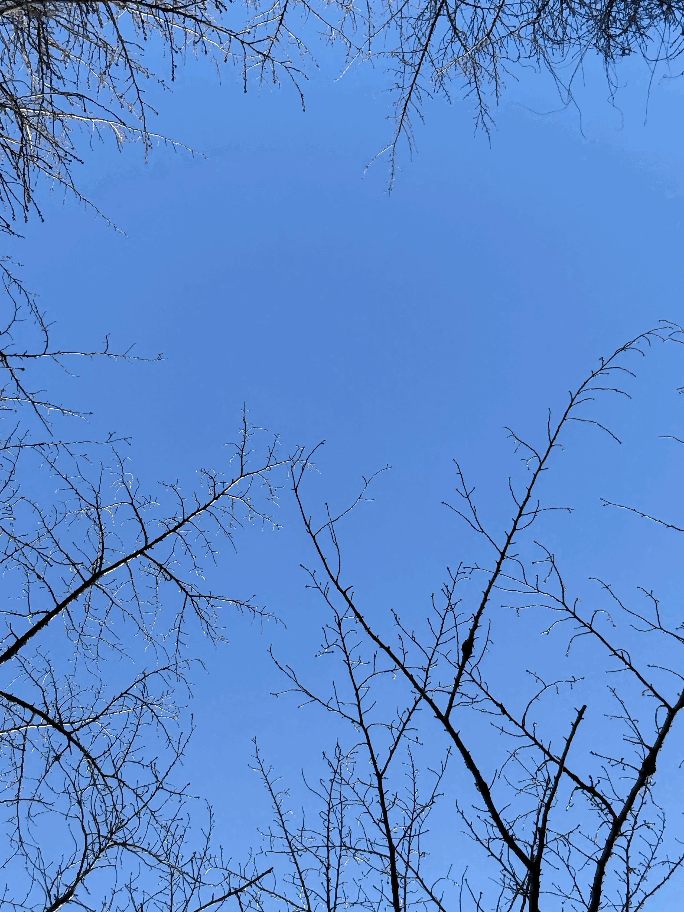 tempImage2piuMd.gif