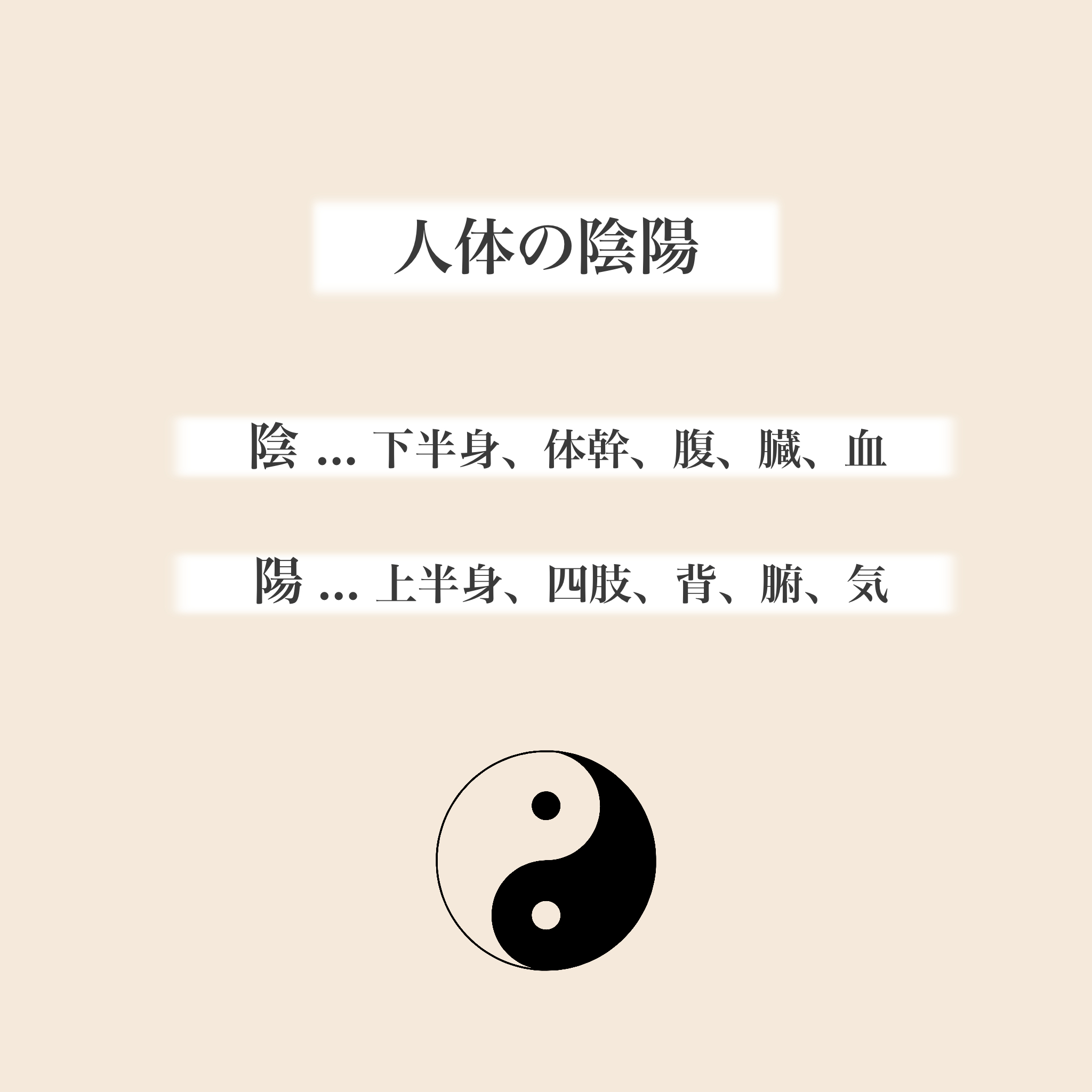 名称未設定のアートワーク 1.png