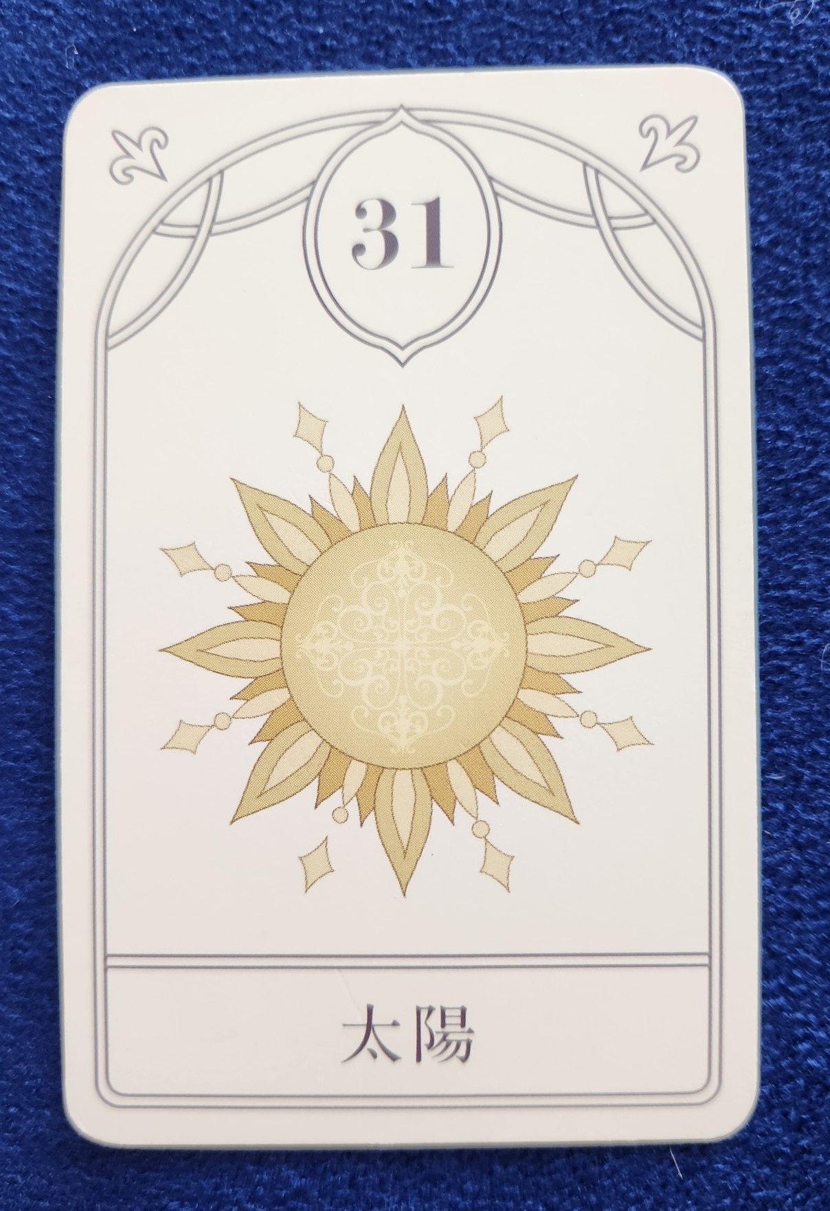 20231017_092844 (002).jpg