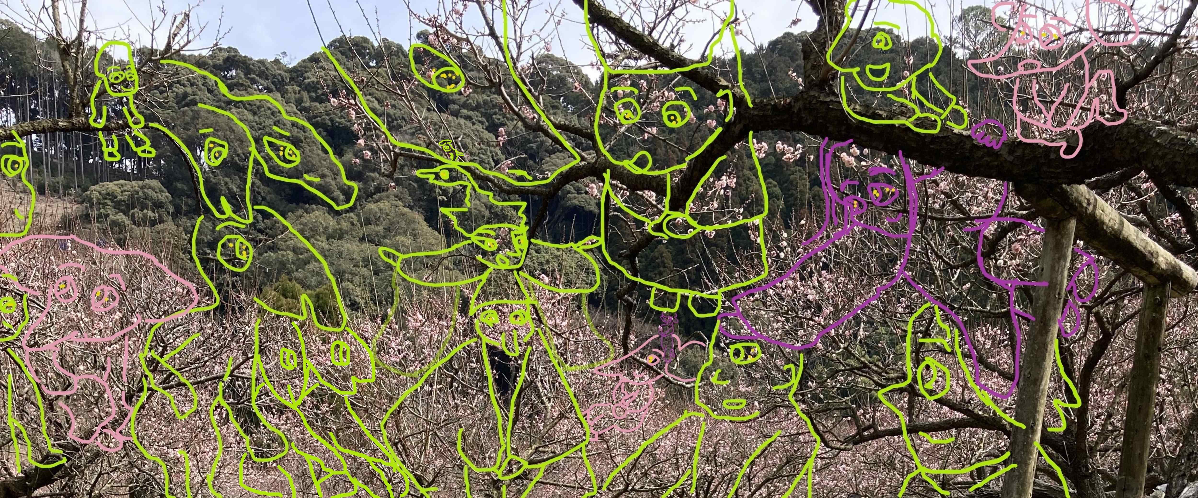臥龍梅3b1.jpg