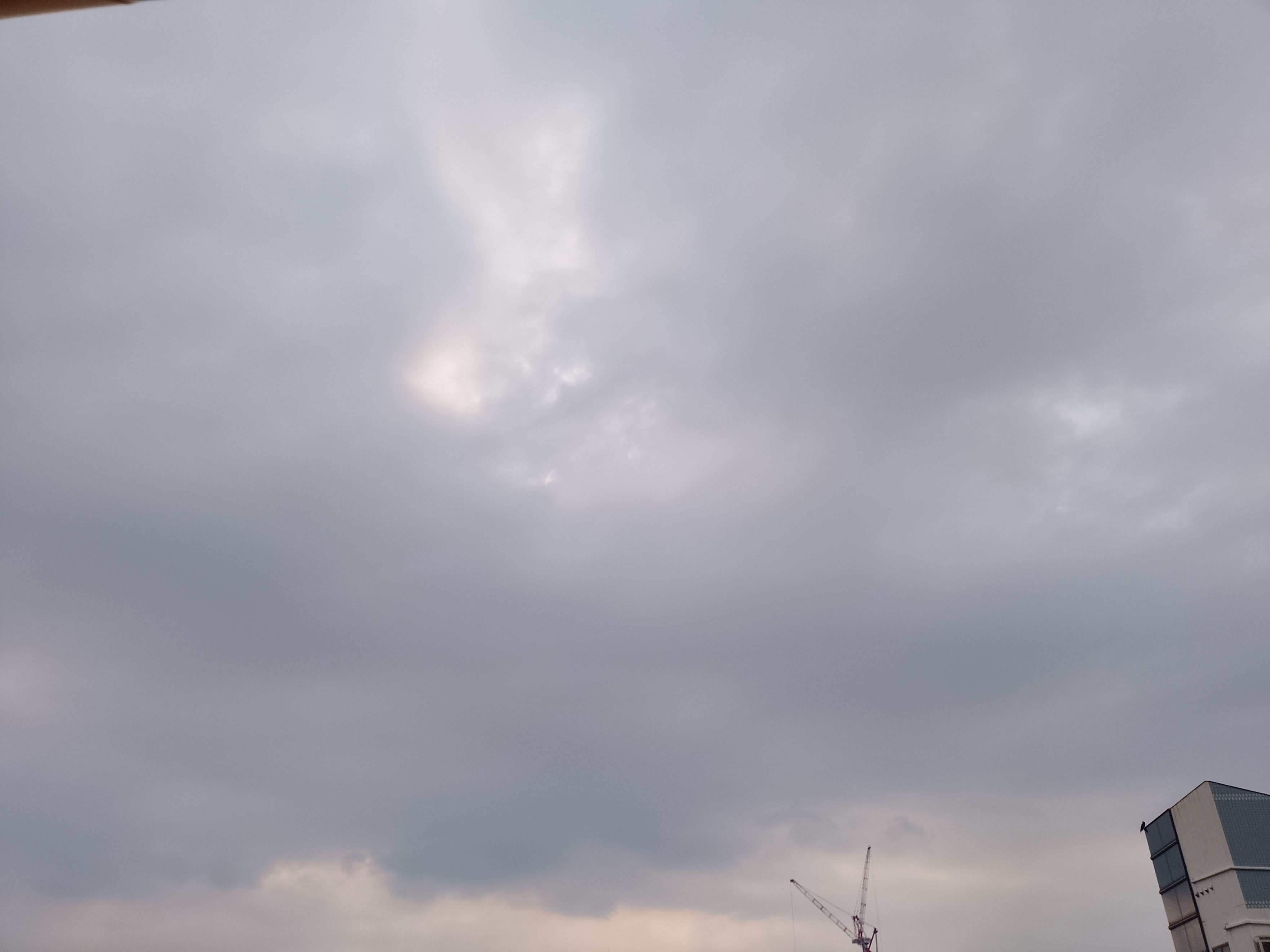 6893.jpg