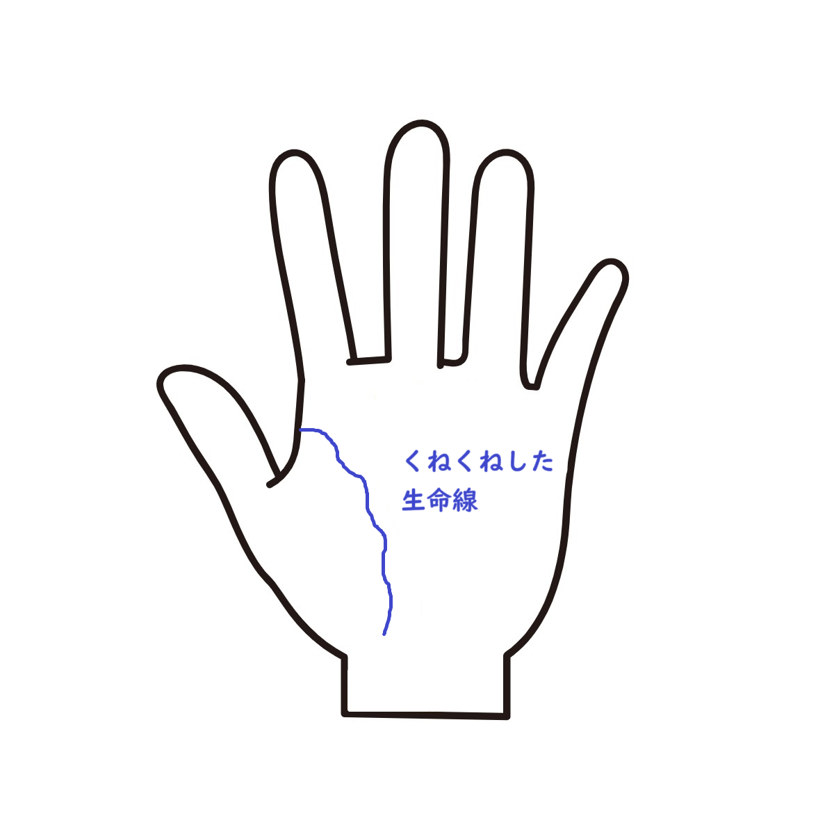 くねくねした生命線.png