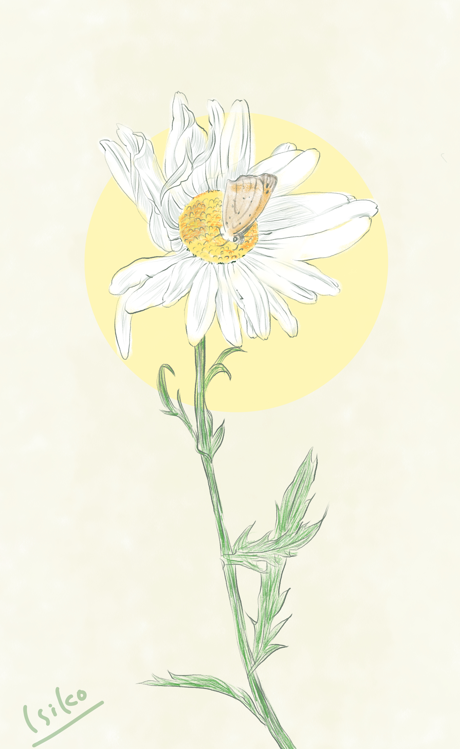 無題 - 2022年3月20日 16.28.12.png