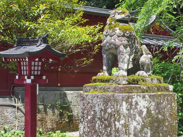 箱根神社_狛犬02.jpg