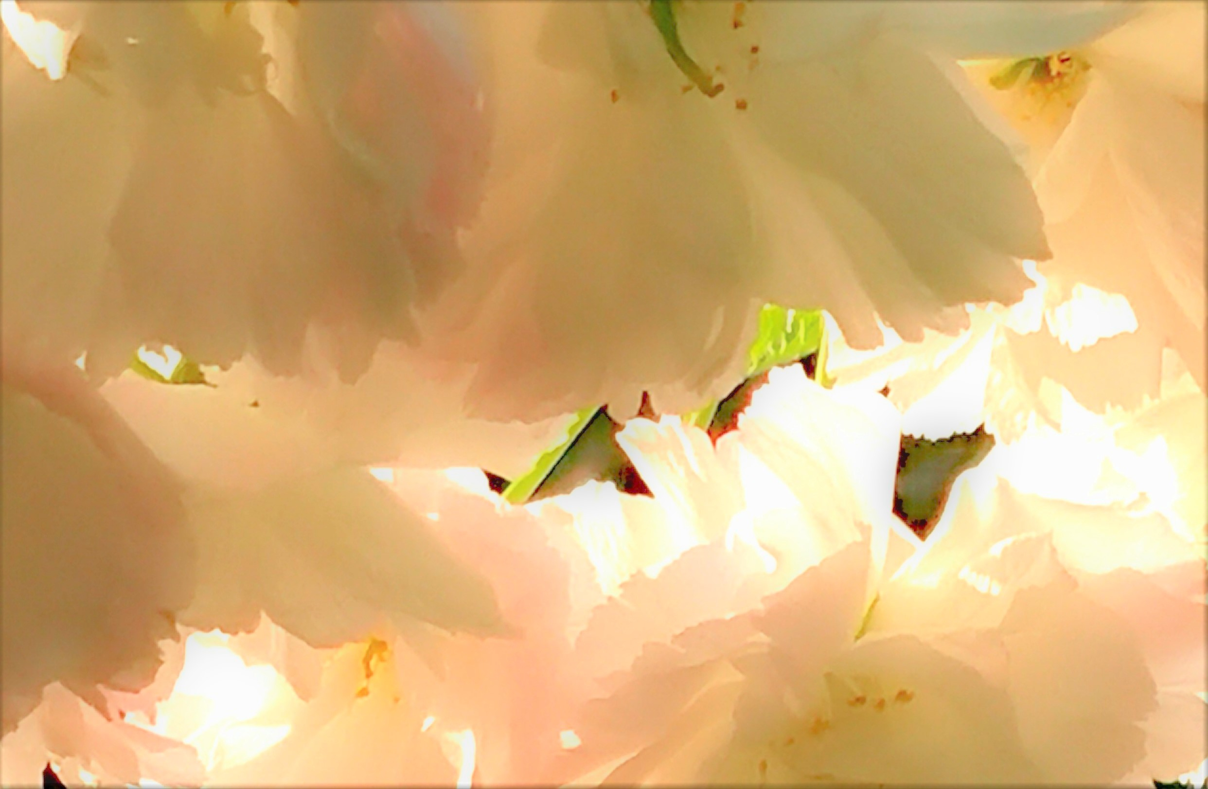 _20230408_105303 (3).JPG