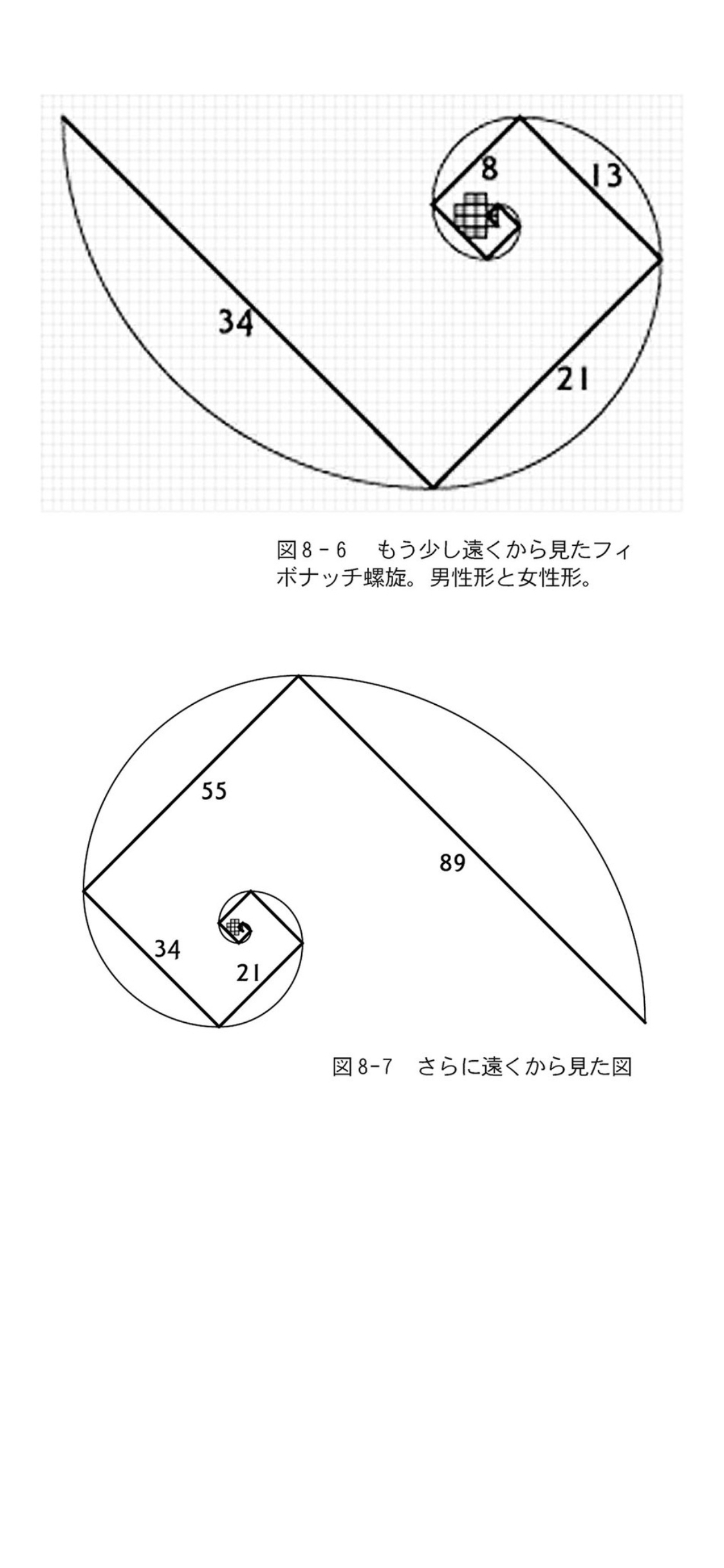 IMG_0557.PNG