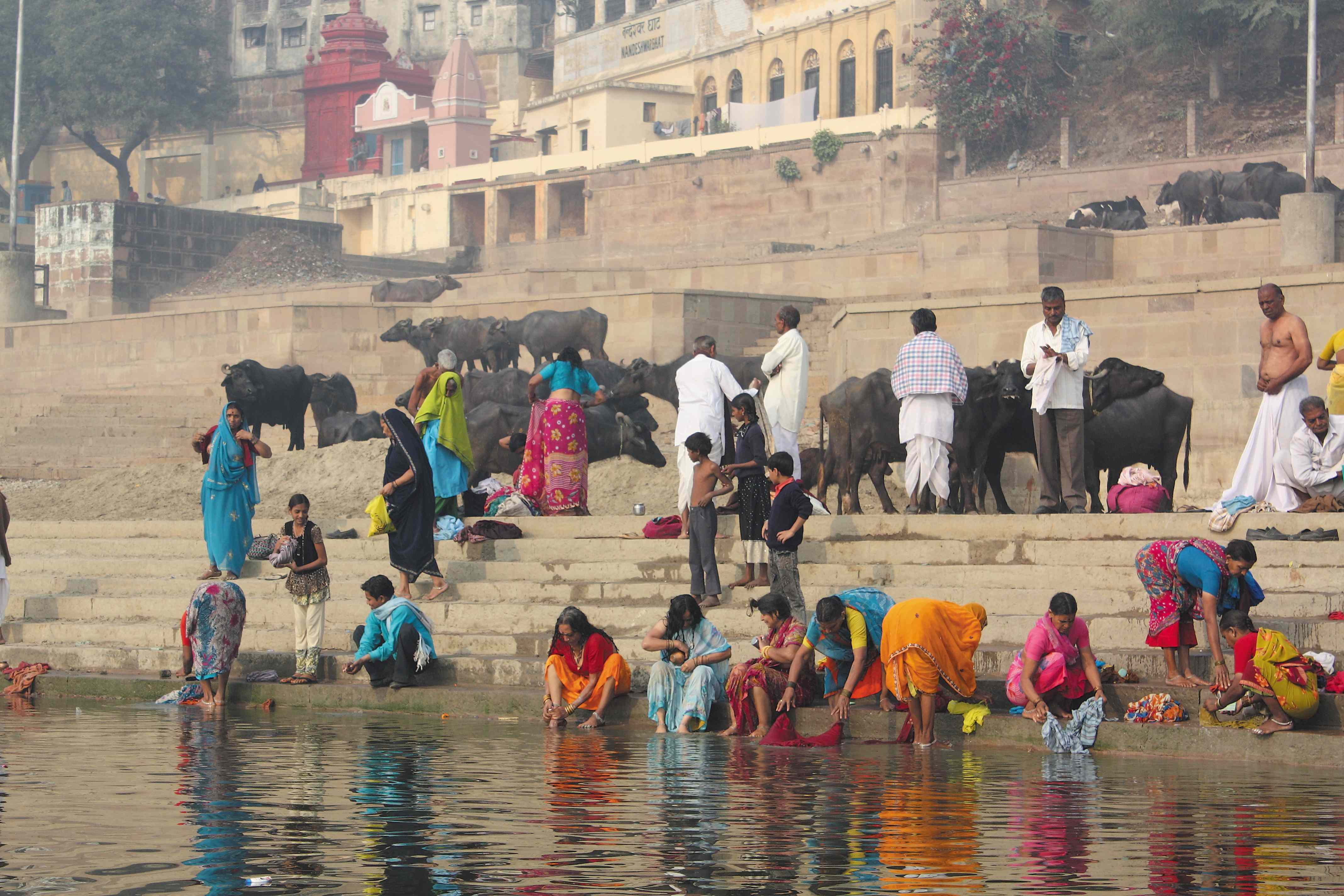 m_tanimoto-india-4121356.jpg