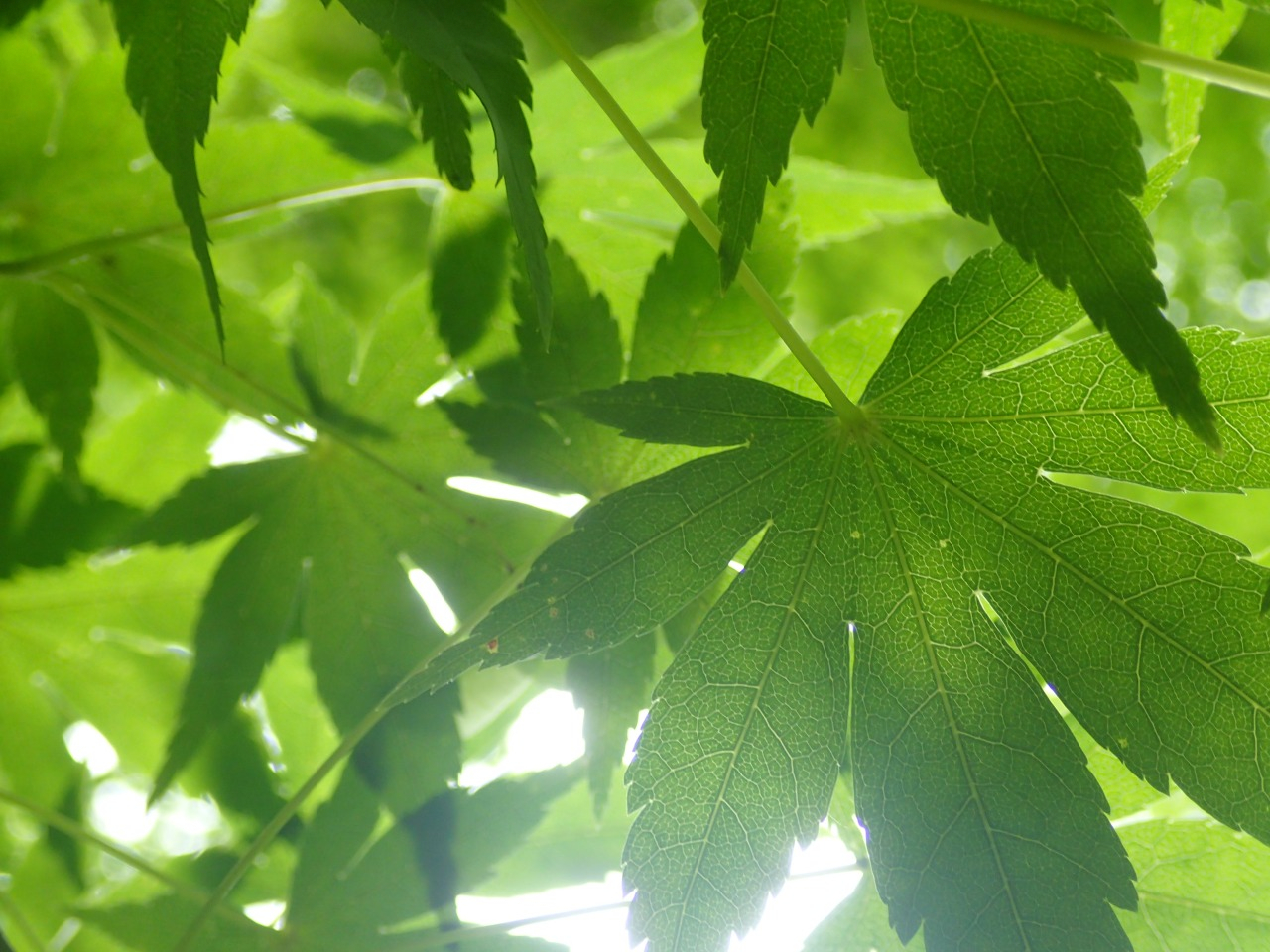 05.JPG