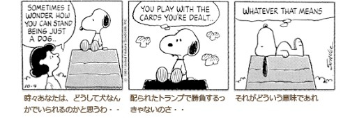 スヌーピー (2).jpg