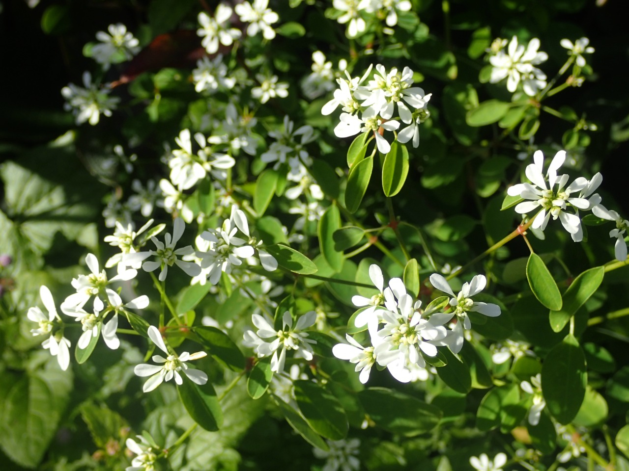 PB170115.JPG