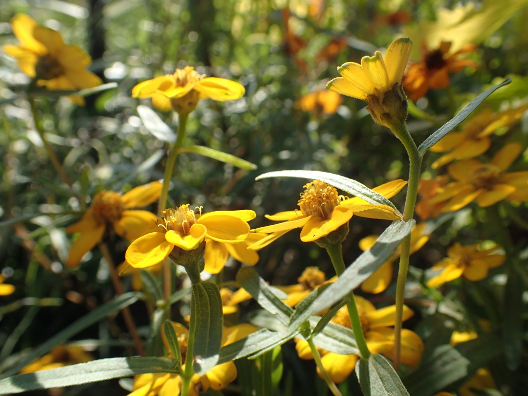 PA100090.JPG