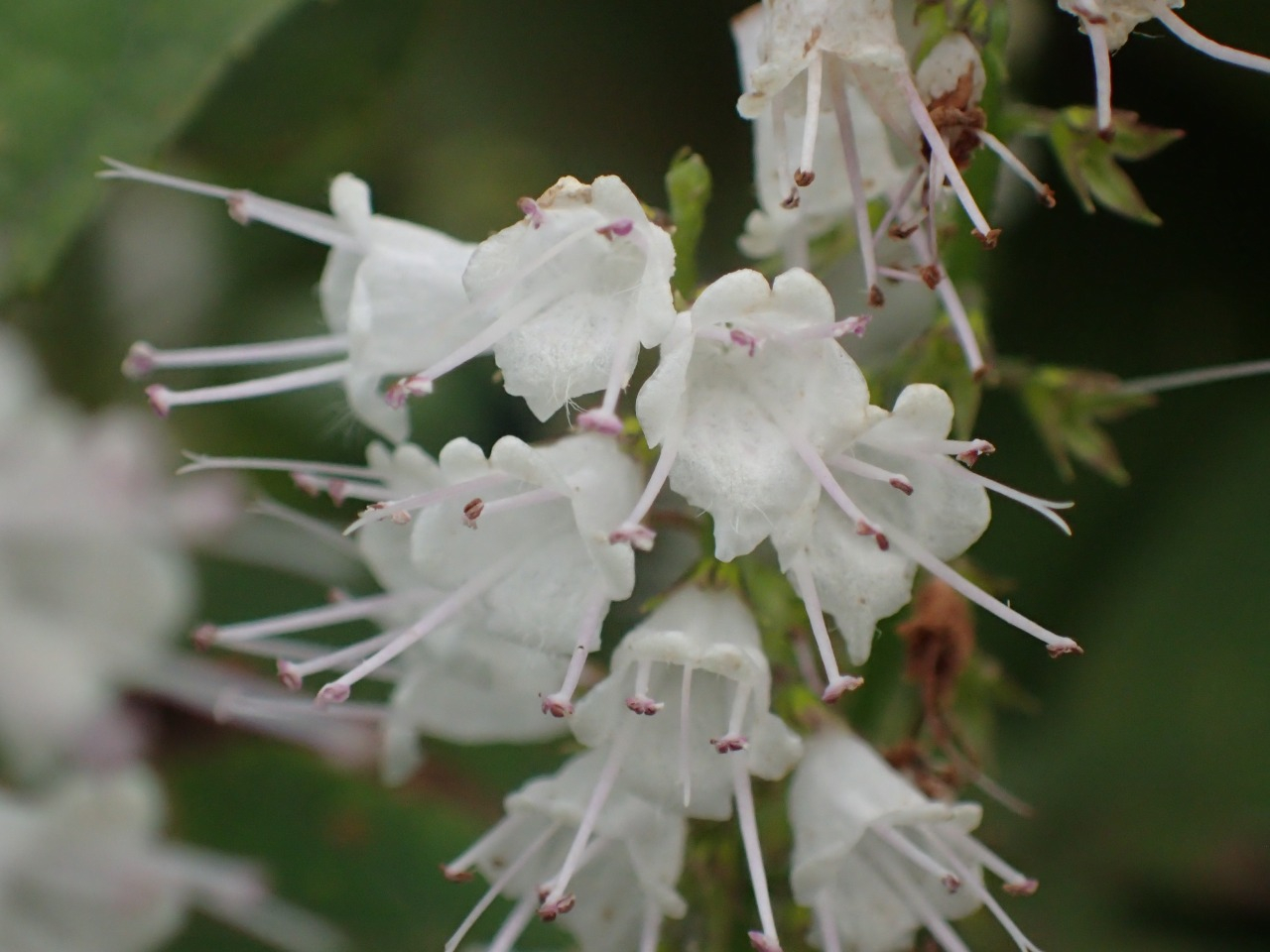 PA120636.JPG