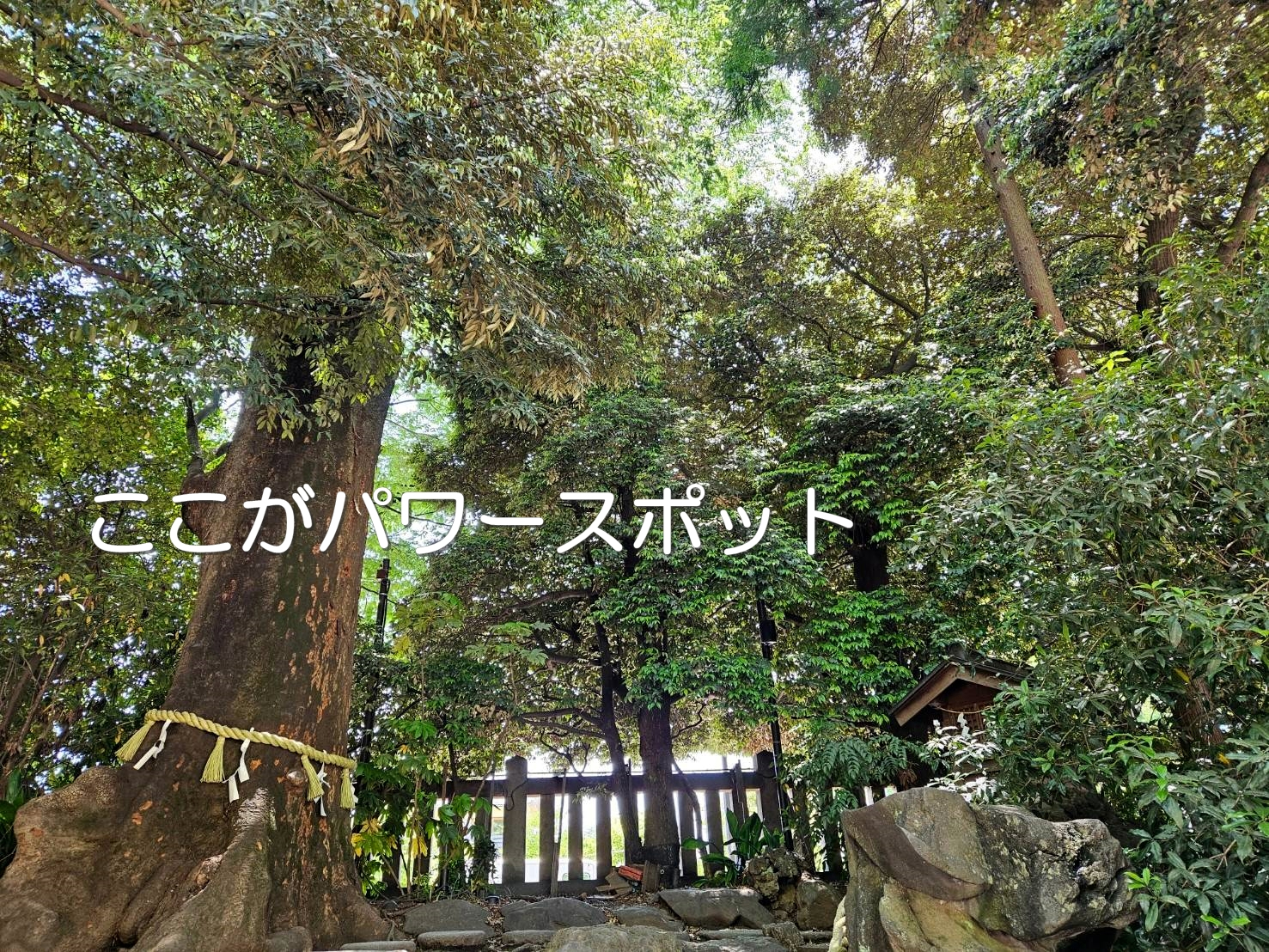 タロット 占い 浦和 埼玉 霊感 霊視 潜在意識 前世鑑定 ヒーリング 　尾本広美 ロータスロータス  当たる占い 埼玉 スピリチュアル  (230).jpg