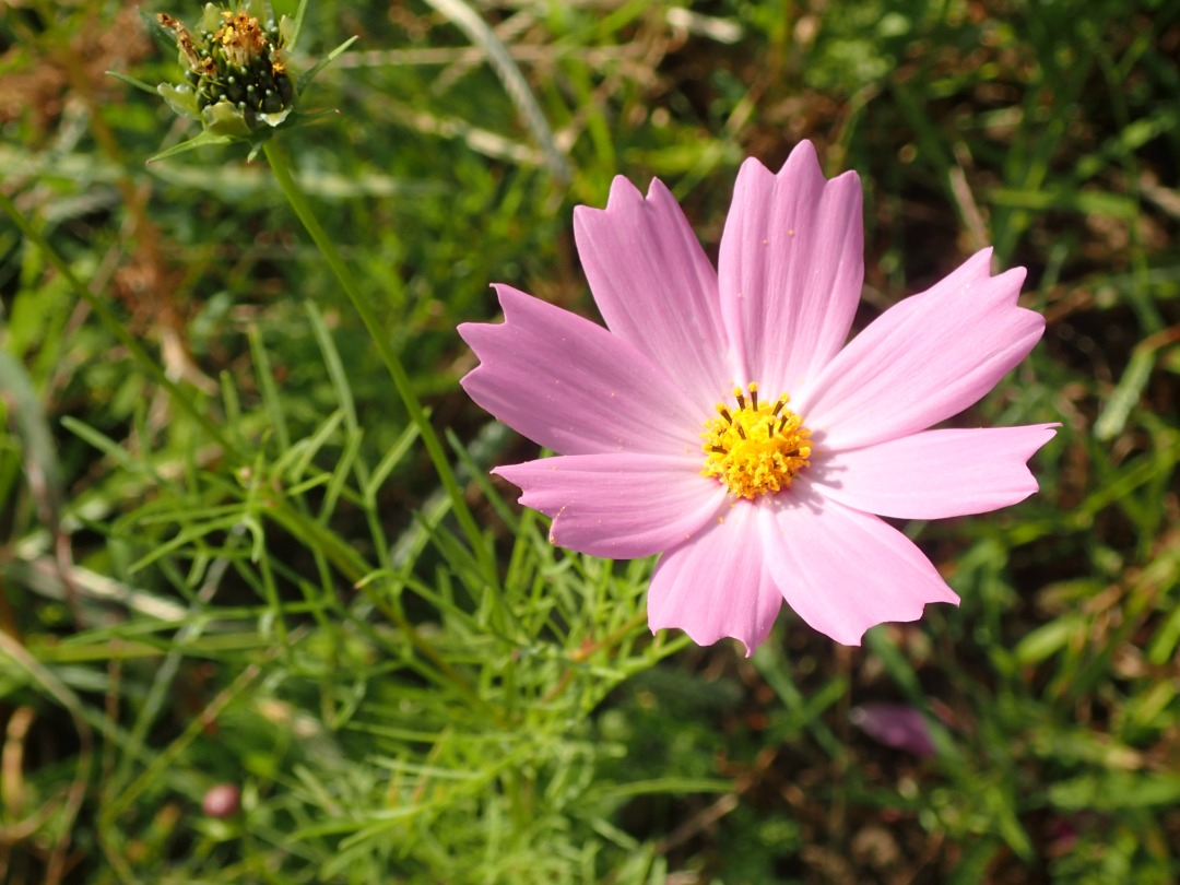 PA180015.JPG