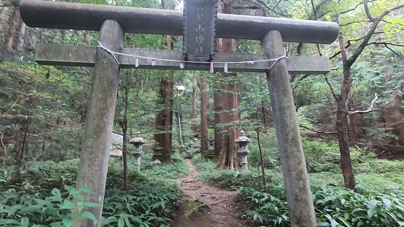picture_pc_bd6861d267e73928fa03791a2e712b33 (1).png