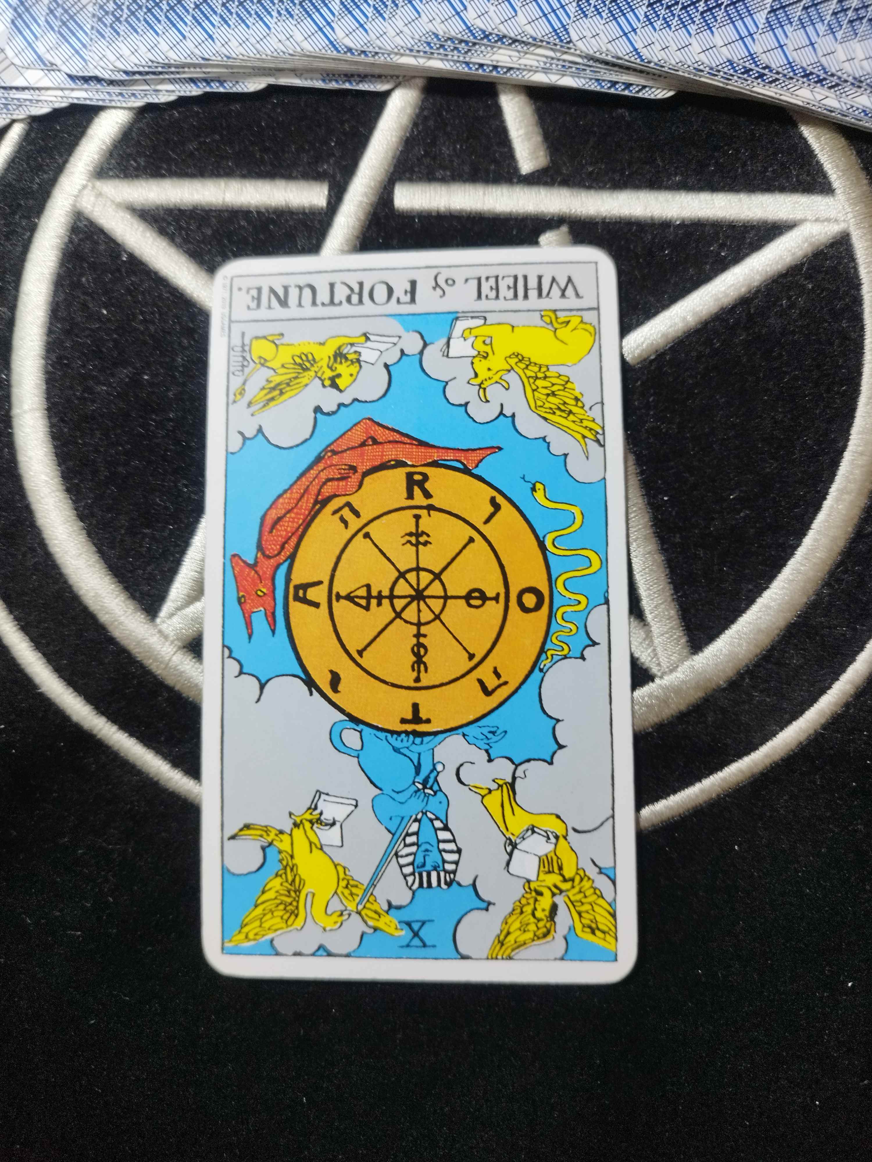 1000030320.jpg