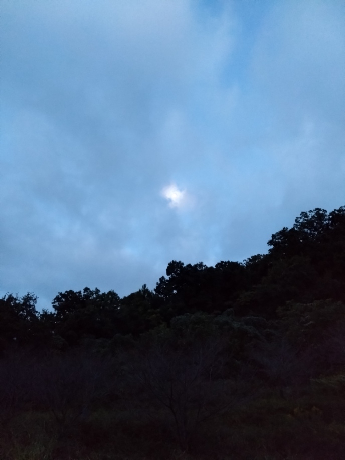 DSC_2169.JPG