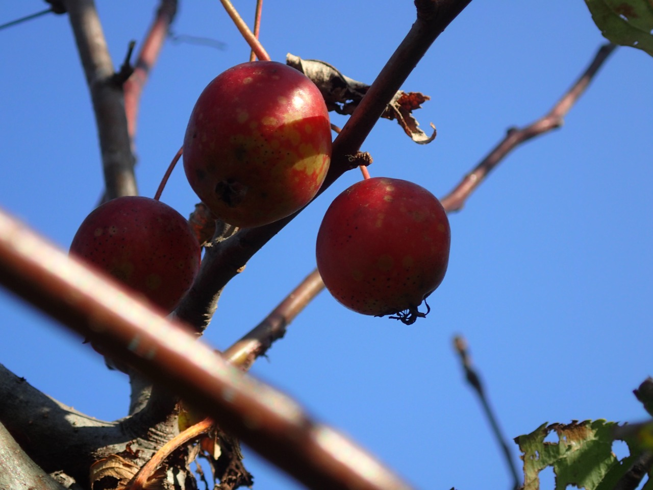 PB160032.JPG