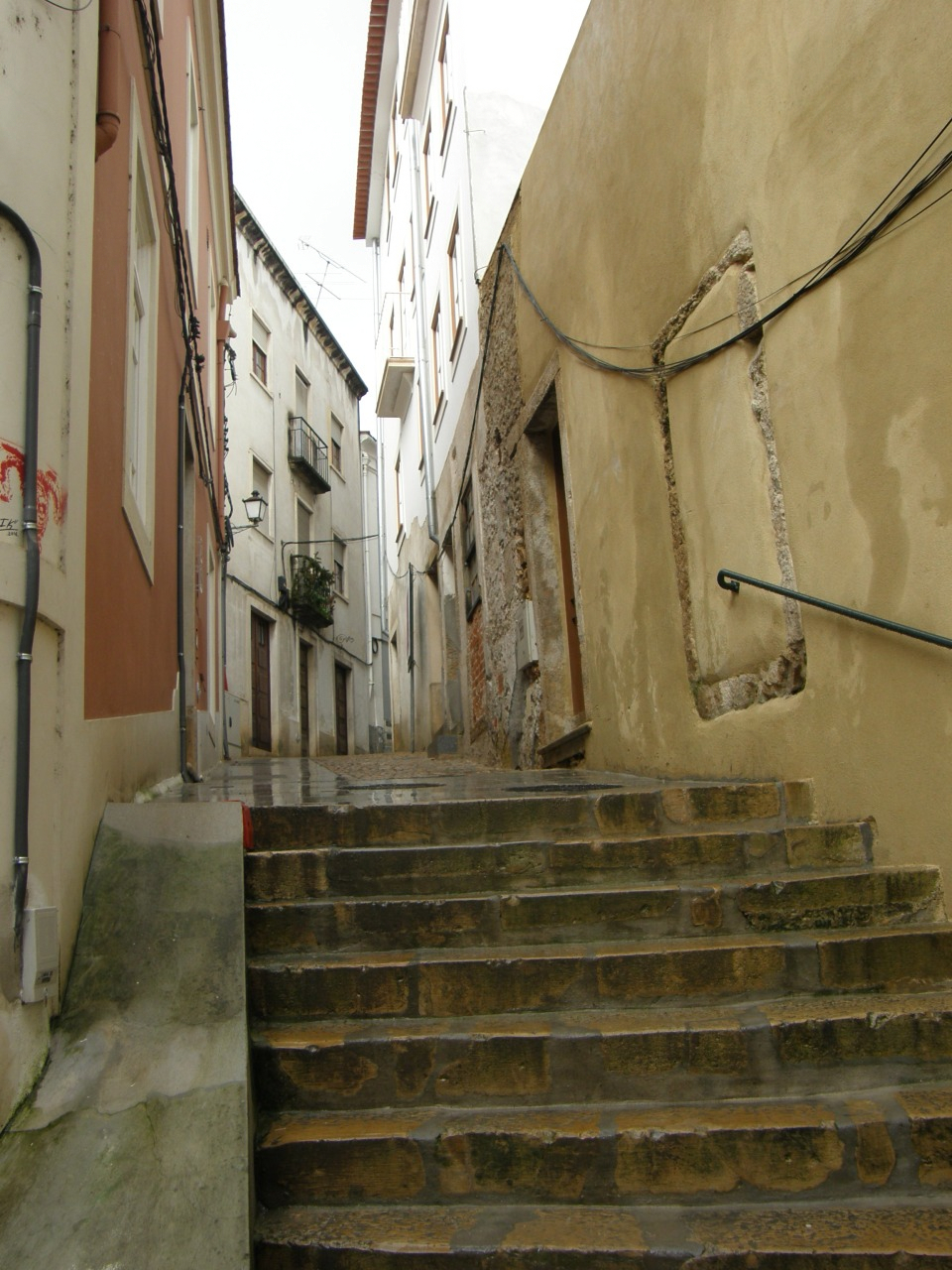 P1251214.JPG