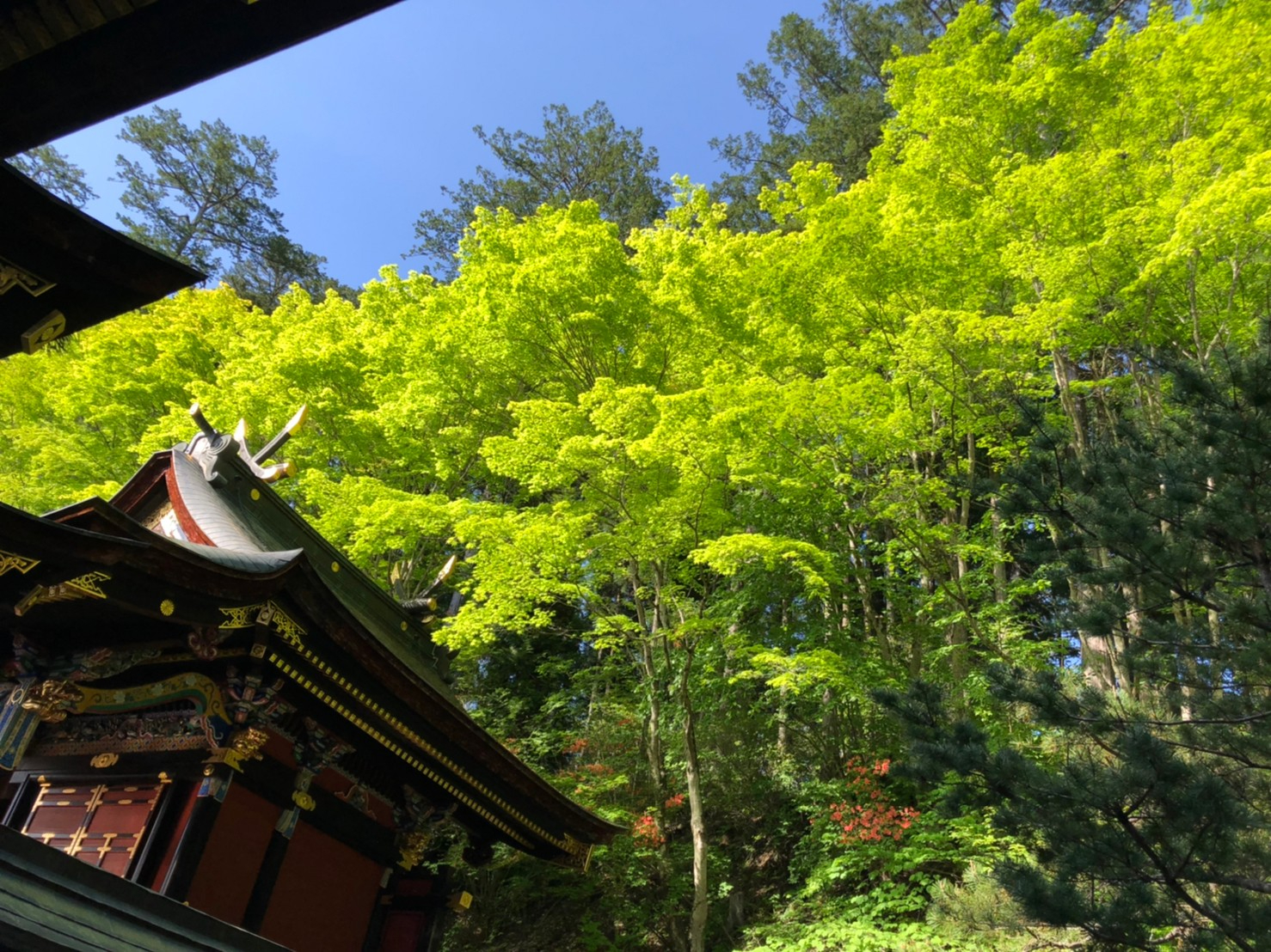 LINE_ALBUM_三峯奥宮2022.5.28_220529_2.jpg