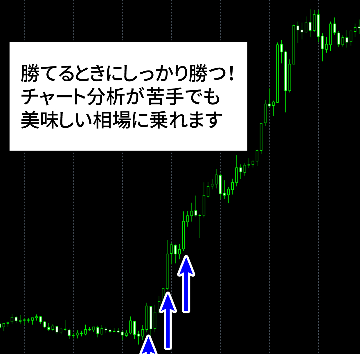 エントリー例_240304.png