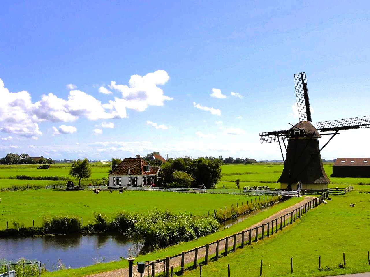 netherlands-97830_1280.jpg