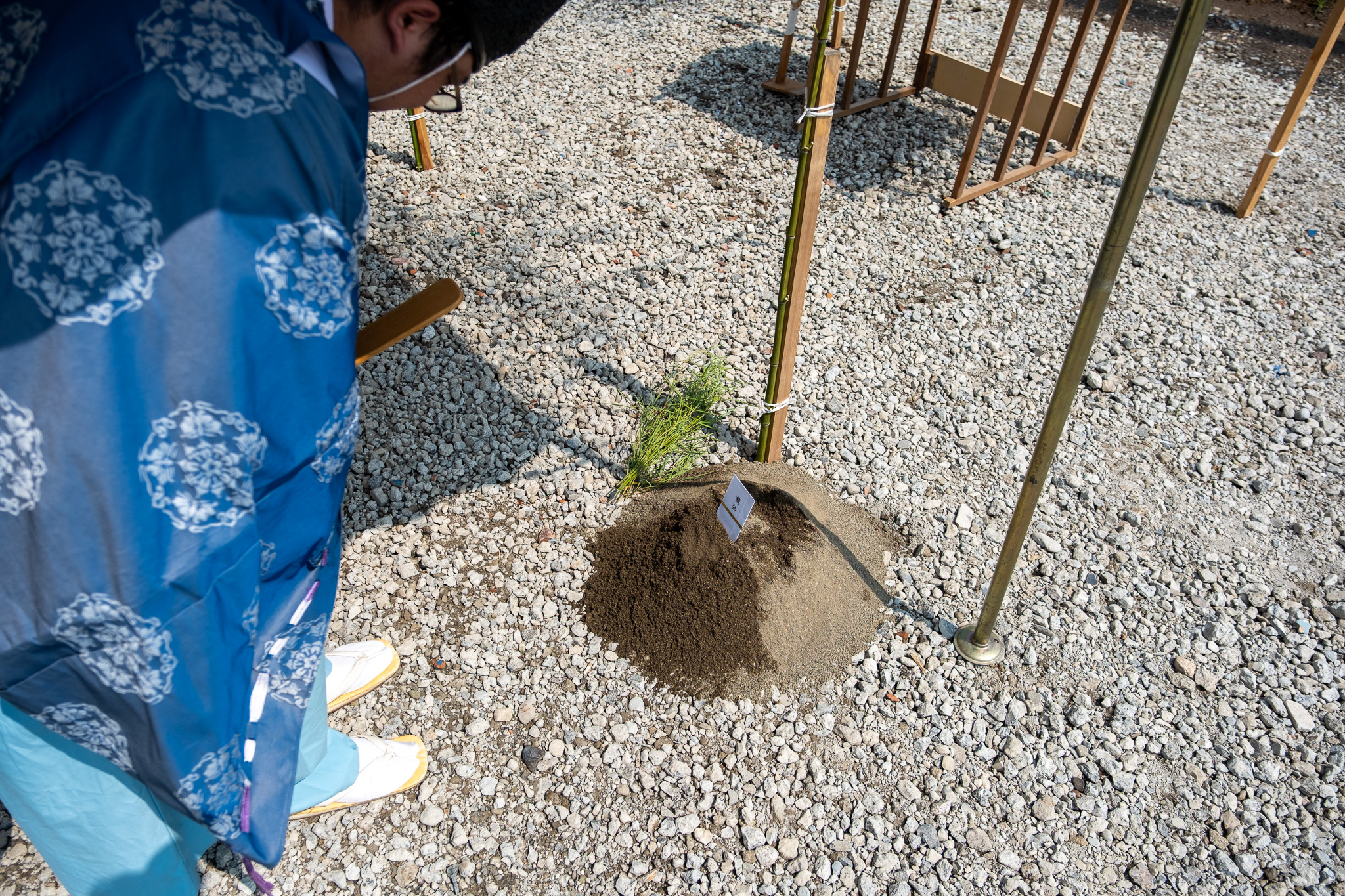 DSCF8174.jpg