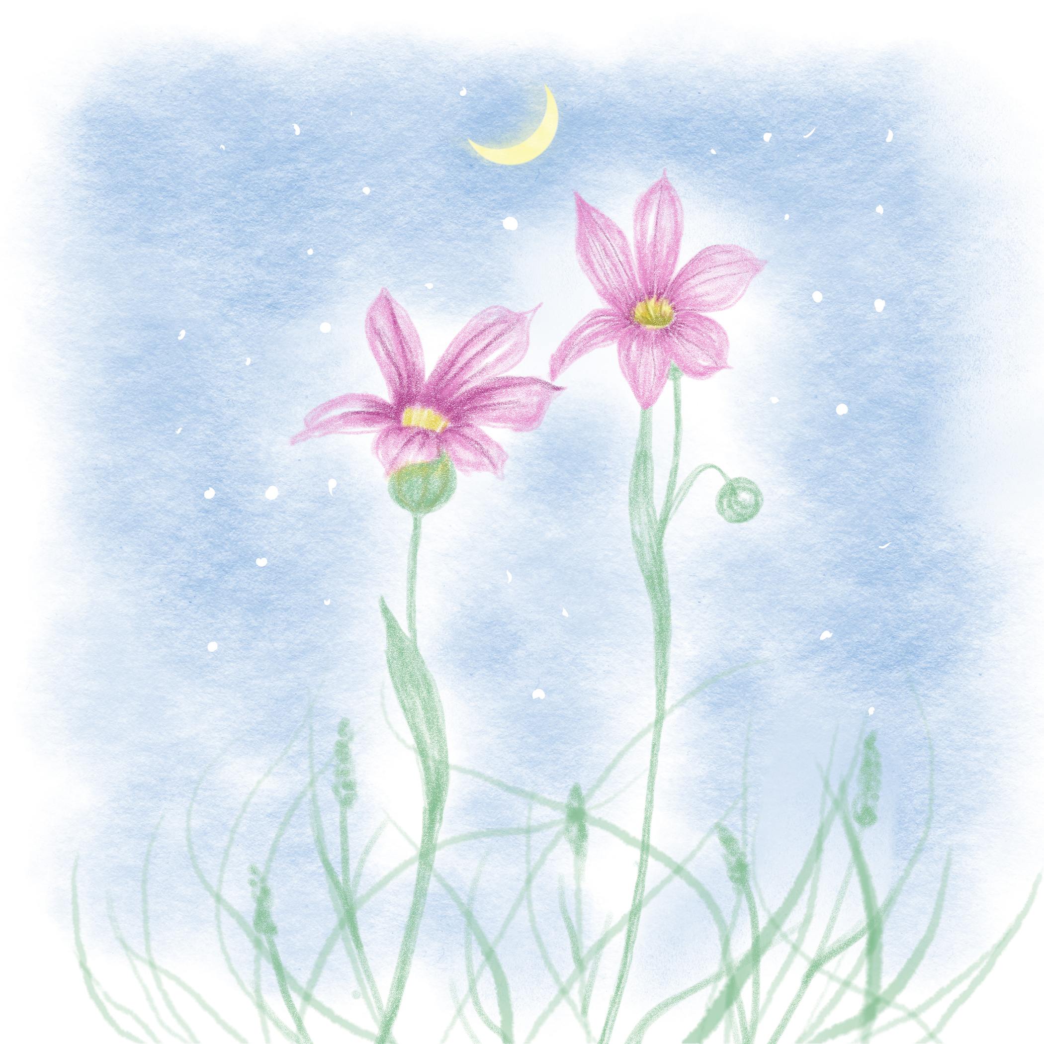 無題 - 2023年12月14日 14.46.12.jpg