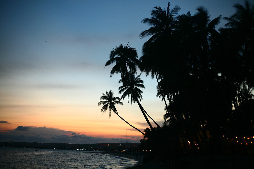sunset-5173024_960_720.jpg