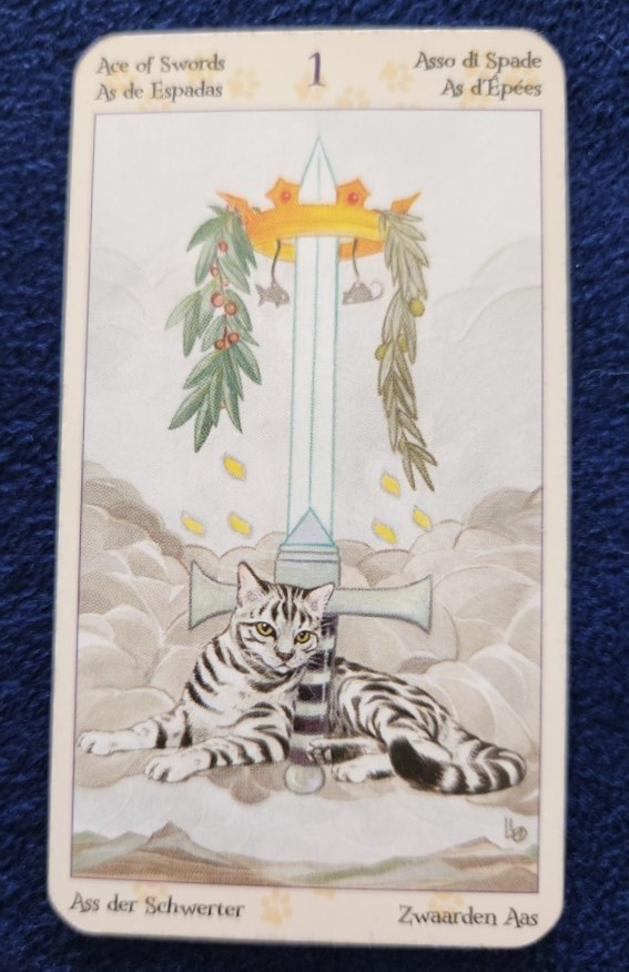 20230818_083430 (002).jpg